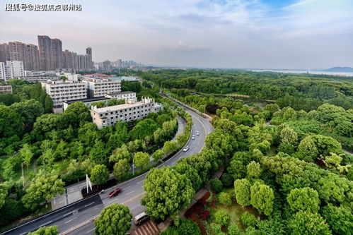 嘉興平湖愛情花漫里官方網(wǎng)站 開啟浪漫生活，歡迎您的到來